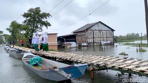 Warga Lamongan Bangun Jembatan Darurat dari Bambu di Banjir Bengawan Jero