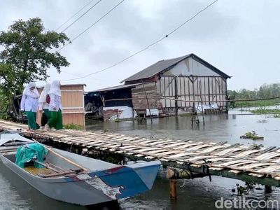 Warga Lamongan Bangun Jembatan Darurat dari Bambu di Banjir Bengawan Jero