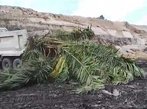 Kebun Sawit Diratakan Tambang, DPRD Bulungan Minta Setop Dulu Cegah Konflik