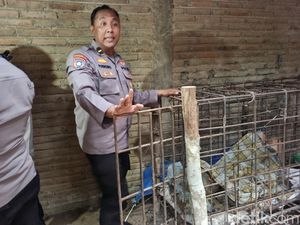 Momen ODGJ di Ponorogo Dievakuasi Setelah 20 Tahun Dipasung