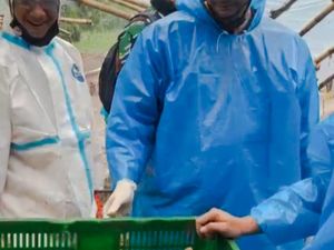 Kucing Selamat dari Longsor Cisarua, Diadopsi Ketua Viking Persib Club