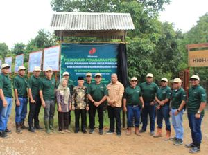 Dukung Pengendalian Perubahan Iklim, Puluhan Ribu Pohon Ditanam di Muba