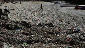 Miris, Pesisir Taman Wisata Laut Teluk Kupang Jadi Lautan Sampah