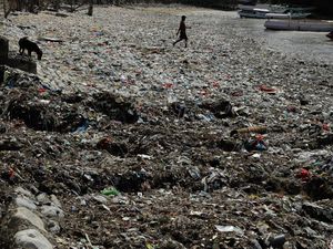 Miris, Pesisir Taman Wisata Laut Teluk Kupang Jadi Lautan Sampah