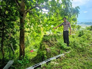 Vario Tabrak Pembatas Lalu Terjun ke Jurang Kulon Progo, 2 Orang Tewas
