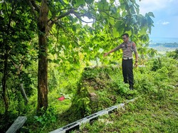 Vario Tabrak Pembatas Lalu Terjun ke Jurang Kulon Progo, 2 Orang Tewas