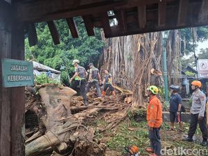 Pohon Beringin Tua di Masjid Kotagede Ambruk, Timpa Warung-Mobil