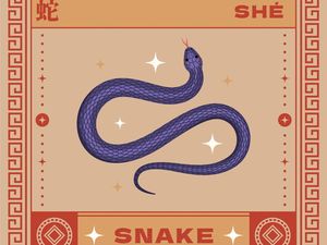 Ramalan Shio Hari Ini 30 Januari 2026, Yuk Pahami Energi Sepanjang Harimu!