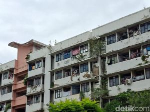 Malangnya Rusun Tepi Laut Jakarta: Lantai Retak, Tembok Tumbuh Tanaman