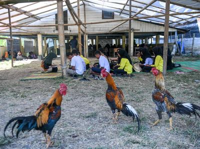 Sekolah Darurat Desa Agusen Bangkitkan Harapan Pendidikan Pascabanjir Bandang