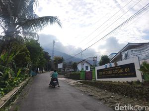 Teror Monyet Liar di Ungaran Barat: Intip Orang Mandi hingga Nyolong Jemuran