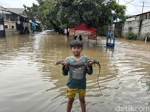 3 Ekor Ular hingga Biawak Ditangkap Warga Kranji Bekasi Saat Banjir