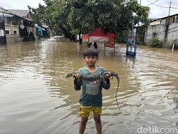 3 Ekor Ular hingga Biawak Ditangkap Warga Kranji Bekasi Saat Banjir