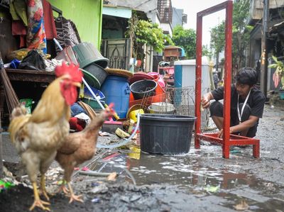 Banjir Surut, Warga Periuk Damai Mulai Bersihkan Rumah
