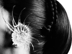 BLACKPINK Gaet Chris Martin, EJAE, & Saja Boys di Comeback Deadline