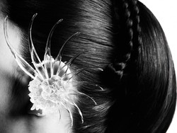 BLACKPINK Gaet Chris Martin, EJAE, & Saja Boys di Comeback Deadline