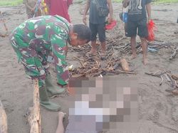 Diduga Diterkam Buaya, Pria Tewas di Muara Kapsali Kupang