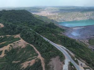 Ada 47 Orang Utan di Lanskap Karaitan yang Diselamatkan Sejak 2024