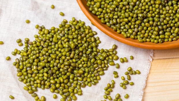 Ilustrasi kacang hijau, kacang ijo