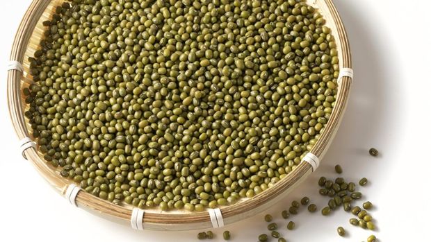 Ilustrasi kacang hijau, kacang ijo