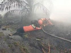 2 Relawan Alami Sesak Napas saat Padamkan Karhutla di Rasau Jaya