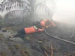 2 Relawan Alami Sesak Napas saat Padamkan Karhutla di Rasau Jaya