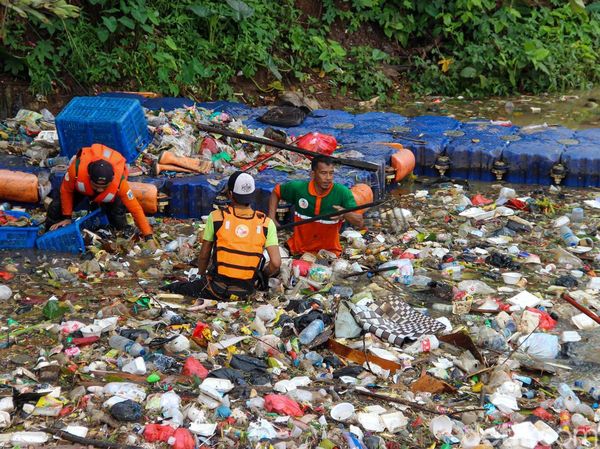 Aksi Petugas DLH Bersihkan Sampah Sungai Ciliwung untuk Jaga Aliran Air