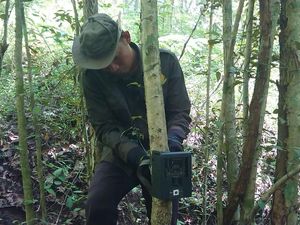 Aneka Satwa Dilindungi Ditemukan BBKSDA Jatim di Hutan Kota Trenggalek