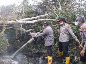 Lahan 4 Hektare di Pelalawan Terbakar, Polisi Turun Padamkan Api
