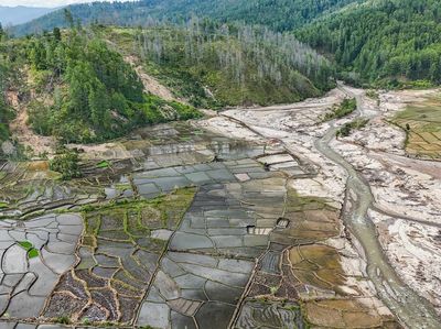 Ribuan Hektare Sawah Direvitalisasi Usai Rusak Diterjang Banjir Bandang