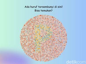 Jangan Sampai Terkecoh! Tes Buta Warna Ini Sekilas Terlihat Mudah
