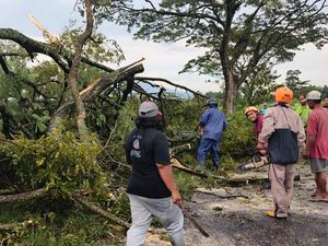 Angin Kencang Terjang Perbatasan Klaten-Sleman, Pohon Tumbang Tutup Jalan