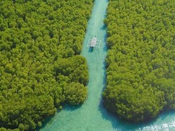 Menelusuri Keindahan Gili Sulat di Lombok Timur
