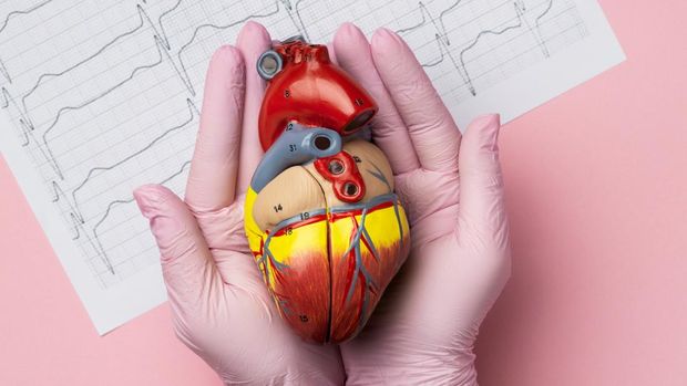 Tentang Dextrocardia, Kelainan Bawaan Langka yang Diidap Catherine O'Hara 'Home Alone'