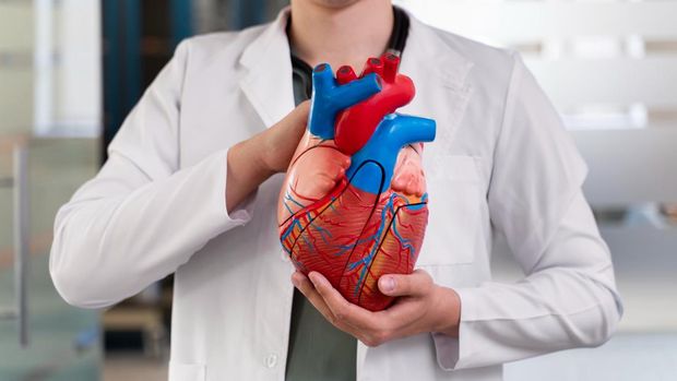 Tentang Dextrocardia, Kelainan Bawaan Langka yang Diidap Catherine O'Hara 'Home Alone'