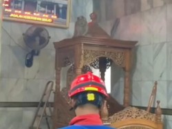 Video Momen Damkar Evakuasi Monyet Liar yang Naik Mimbar Masjid di Jaktim