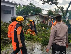Amukan Angin Kencang Tumbangkan Mahoni hingga Timpa Warung di Tasik