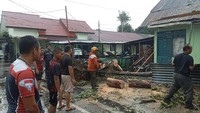 13 Titik Pohon Tumbang di Makassar Dalam Sehari, 2 Rumah-1 Warga Tertimpa