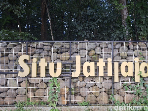 Wisata Murah Meriah di Depok, Keliling Situ Jatijajar Naik Perahu Bebek Rp 20.000