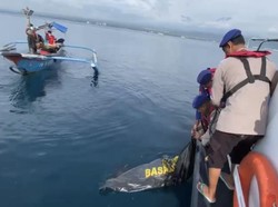 Jenazah Kedua Diduga Korban KMP Tunu Pratama Jaya Ditemukan