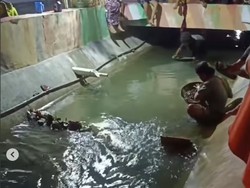 Heboh Warga Pamekasan Berburu Potongan Emas di Parit Depan Rumah Orang