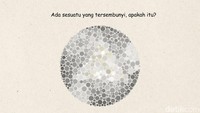 Bisa Lihat Gambar Tersembunyi Ini? Selamat, Tandanya Kamu Nggak Buta Warna