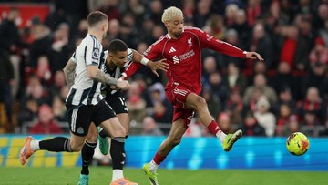 Newcastle Kehilangan Para Bintang, Liverpool Diunggulkan