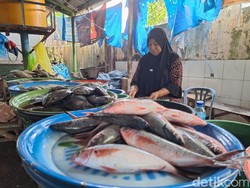 Emas Perhiasan dan Ikan Layang Picu Inflasi NTB Januari 2026