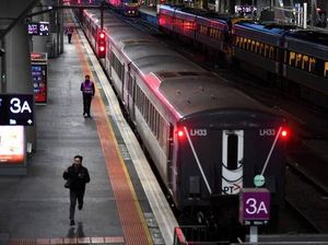 Ular Tiba-tiba Muncul di Stasiun Kereta Australia, Penumpang Panik!