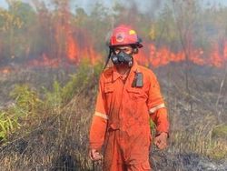 11 Titik Api Muncul Sepanjang Januari, 6 Hektare Lahan di Tarakan Hangus