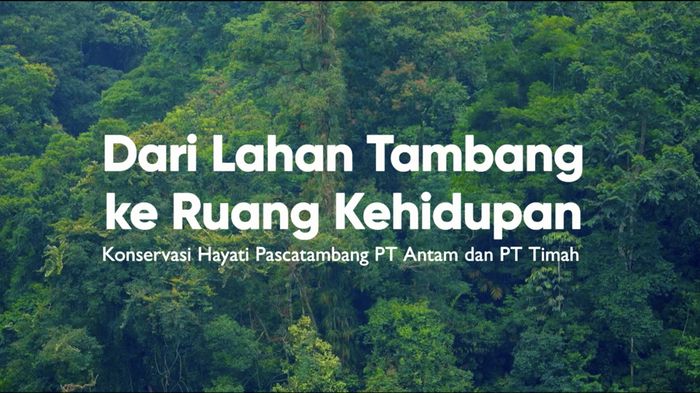 Dari Tambang ke Kehidupan, Konservasi Hayati Pascatambang PT Timah & PT Antam