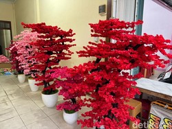 Mengenal Bunga Mei Hwa, Simbol Keberuntungan di Saat Imlek