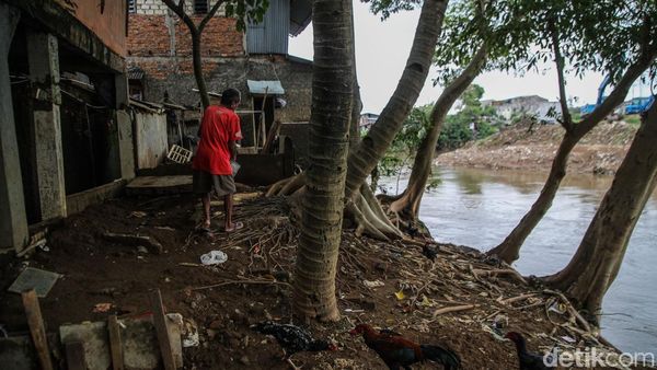 Pembebasan Lahan Jadi Kunci Normalisasi Ciliwung