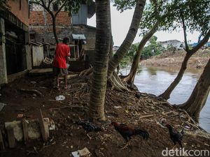 Pembebasan Lahan Jadi Kunci Normalisasi Ciliwung